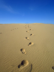 footprints in the sand