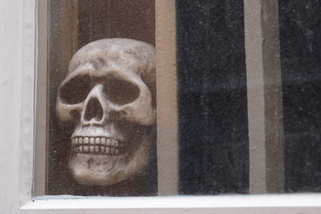 The image of skull behind a window