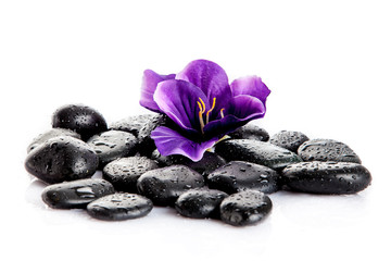Zen pebbles.  Black spa stones isolated on white