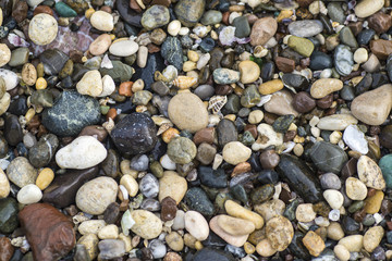 pebbles on the beach