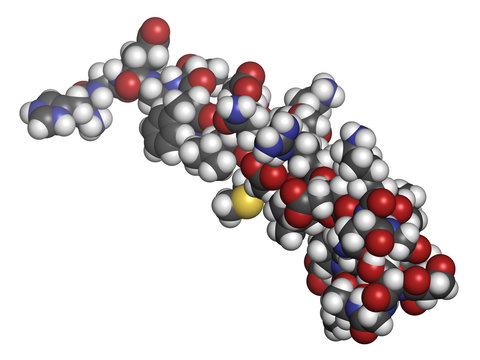 Exenatide diabetes drug molecule. 3D rendering. 