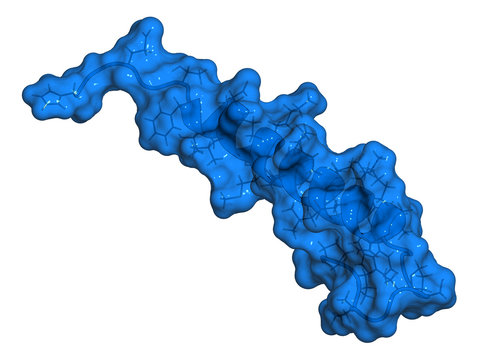 Exenatide diabetes drug molecule. 3D rendering. 