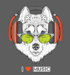 The image of the husky in the glasses, headphones and in hip-hop hat. Vector illustration. © Sunny Whale