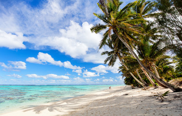Fototapeta na wymiar Beautiful tropical beach at exotic island in South Pacific
