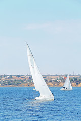 Fototapeta premium Sailing yachts regatta