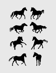 Horse Silhouettes, art vector design