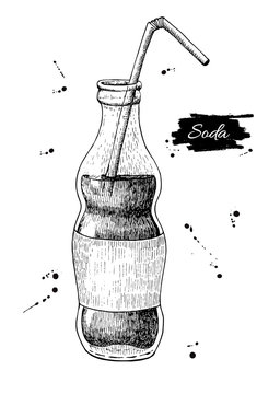 Vector soda drawing. Hand drawn soda illustrations.