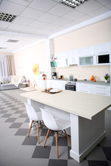 New modern kitchen interior
