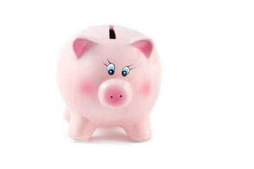Cute  Piggy Bank on a White Background, Soft Focus
