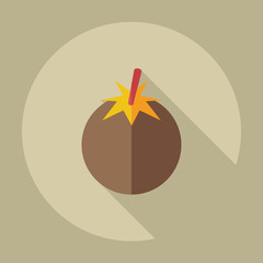 Flat modern design with shadow icons tomato
