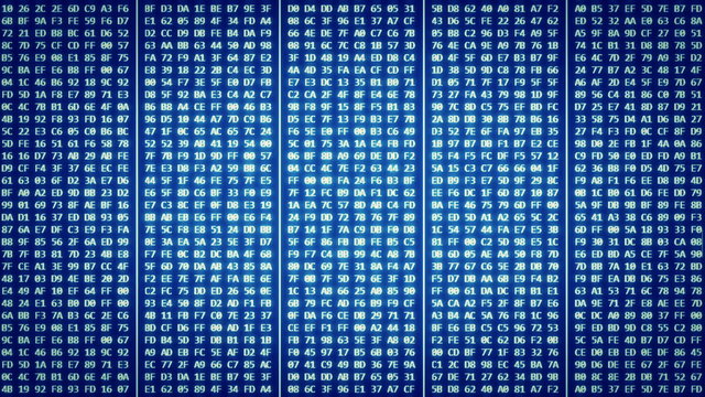 Hexadecimal code on blue screen (old-school)