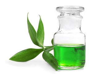 Bottle of tea oil, isolated on white