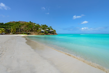 Tropical beach at Antigua island in Caribbean with white sand, t
