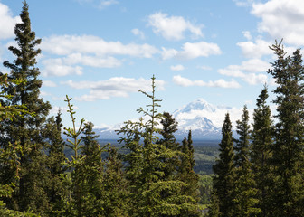 Wrangell St. Elias