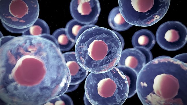 medical 3d animation of the genericcells