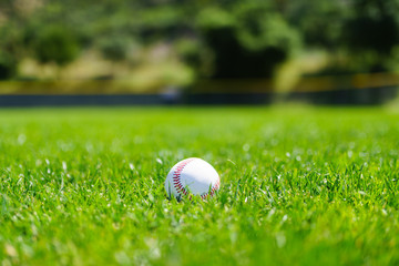 Baseball at a baseball field in California mountains