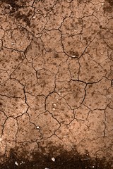 Dry soil closeup