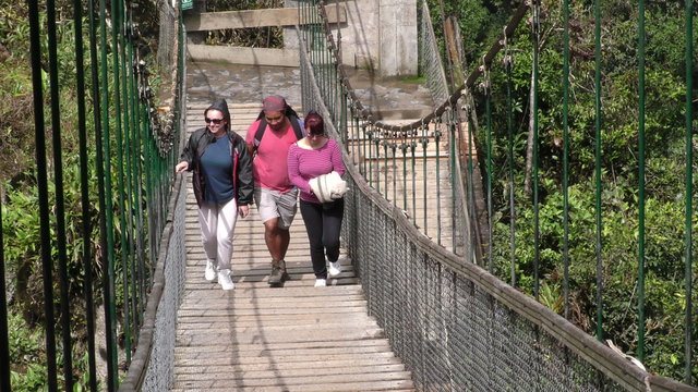 Adventurous tourists crossing a thrilling high altitude suspended bridge in the captivating Ecuadorian rainforest.