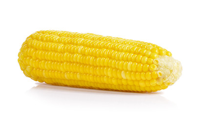 corn on white background