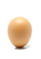 Eggs in white background