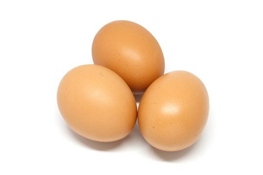 Eggs in white background