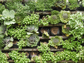 green wall with flora combination