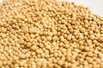 Coriander Seeds