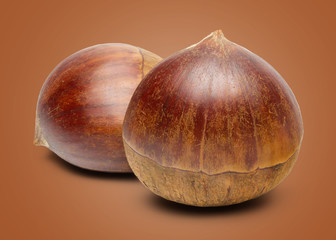 Fresh Chinese Chestnut
