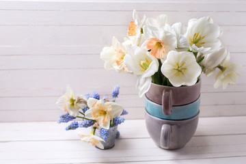 Spring daffodils,  white tulips , muscaries flowers  on white wo