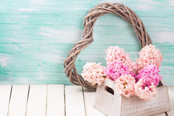 Fototapeta na wymiar Pink hyacinths in wooden box and decorative heart on white w