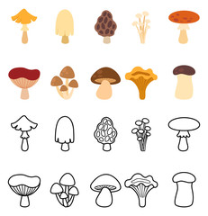 illustration of isolated mushrooms