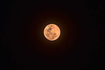The orange Full moon on the dark night