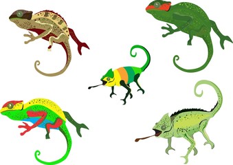 Set of colored and patterned vector chameleons, vector illustration,