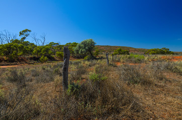 Rusty barbed wire fence wooden poles Australian Outback