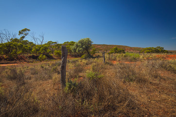 Rusty barbed wire fence wooden poles Australian Outback