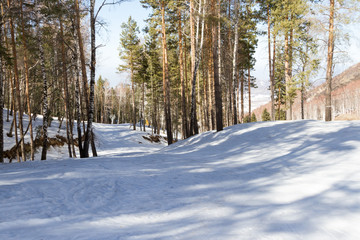 snowy ski trails