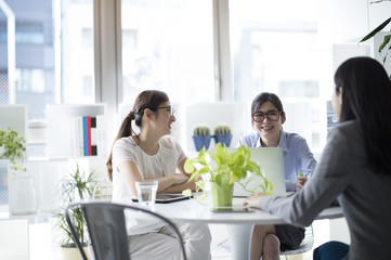Three business women are chatting in the office