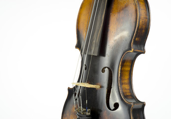 Violin 7