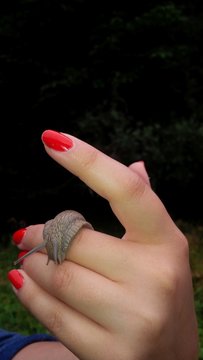 lumaca sulla mano