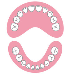 乳歯　歯並び © koti