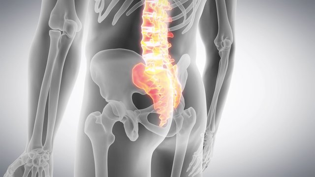 medical 3d animation of the human spine 
