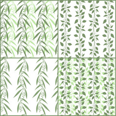 Set of seamless pattern branches of eucalyptus and Camphor laurel. Vector illustration.  Green floral backgrounds