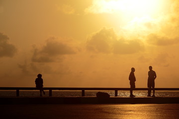 Popular with the general public and the elderly walk and talk