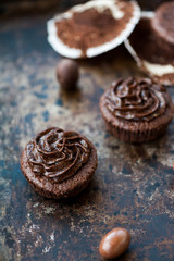 Chocolate cupcakes
