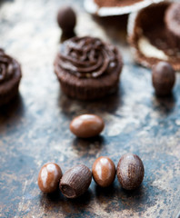 Chocolate cupcakes
