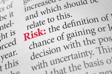 Definition of the word Risk in a dictionary