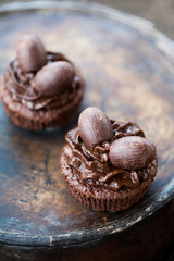 Chocolate cupcakes