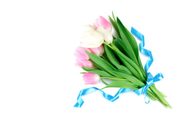 beautiful tulips tied with a blue ribbon on a white isolated background