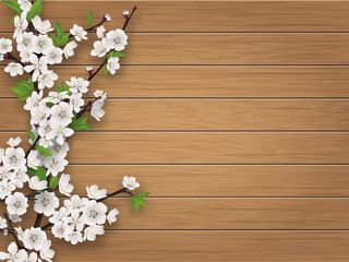 Obraz premium Spring blooming cherry branch on brown old wood background. Realistic vector illustration.