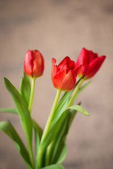 Fototapeta premium Beautiful spring red tulips in a vase
